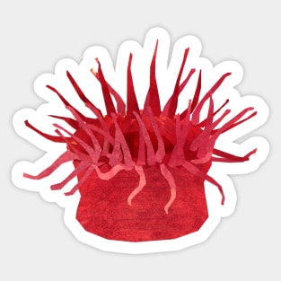 Sea Anemone - solo Sticker